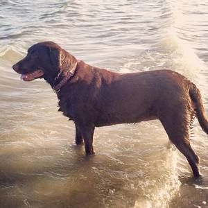 Meet your Posher, Clint